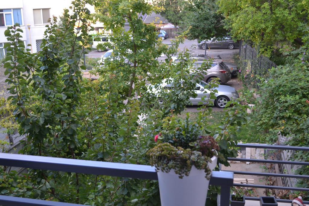 City Park Residence كونستانتا المظهر الخارجي الصورة