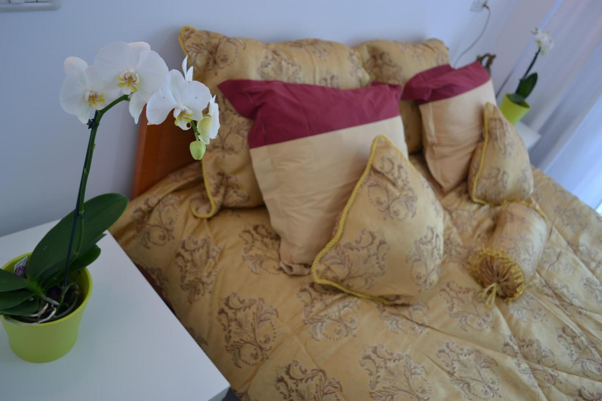 City Park Residence كونستانتا الغرفة الصورة